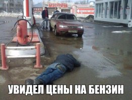 Свежая подборка автоприколов