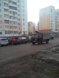 собака-поводырь, т.е собака-навигатор