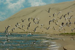 Ну-у! Во-певых, мы там били гитлеровцев. И разбили. Во-вторых, всё-же по итогам Потсдамской конференции 1945 года северная часть (около трети территории) Восточной Пруссии была передана Советскому Союзу вместе с Кёнигсбергом. Потом здесь родился я. И живу. Это - Россия.