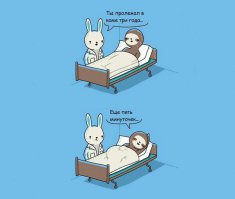 Юмор в картинках