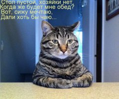 Картинки с надписями