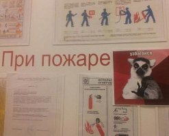 Картинки с надписями