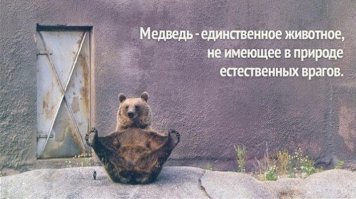 А кто естественный враг у крокодилов, львов, тигров и кучи других животных?