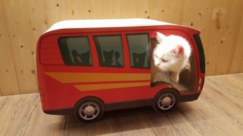 Васся! За праэзд палыт будэм???