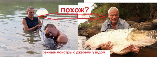 Серферы спасли плачущего китенка в Коста-Рике