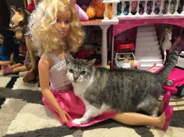 Это не то что вы подумали...