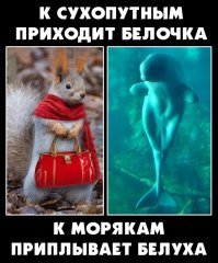Почему моряки иногда видят русалок