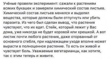 Что такое повседневная жестокость, к которой мы привыкли