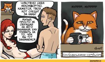 10 самых шокирующих случаев вуайеризма 