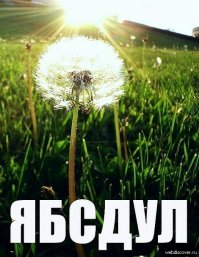 Джессика Альба на отдыхе в бикини  