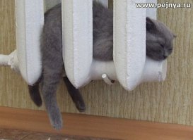 Сразу видно, кому на работе бывает нудно! 