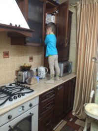 А вот мой в поисках вкусняшек.