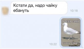 Тунец проглотил чайку и выплюнул