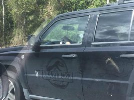 Свежая подборка автоприколов