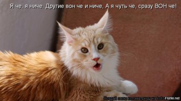 Провинившийся пёс нашел идеальный способ выхода из конфликтных ситуации