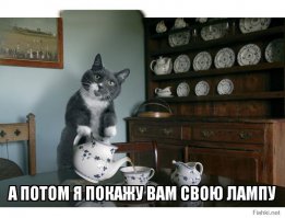 Красная шапочка