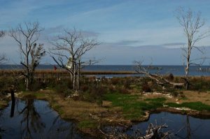 Краткая предыстория В.О.