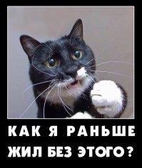 Почему люди становятся ленивыми?