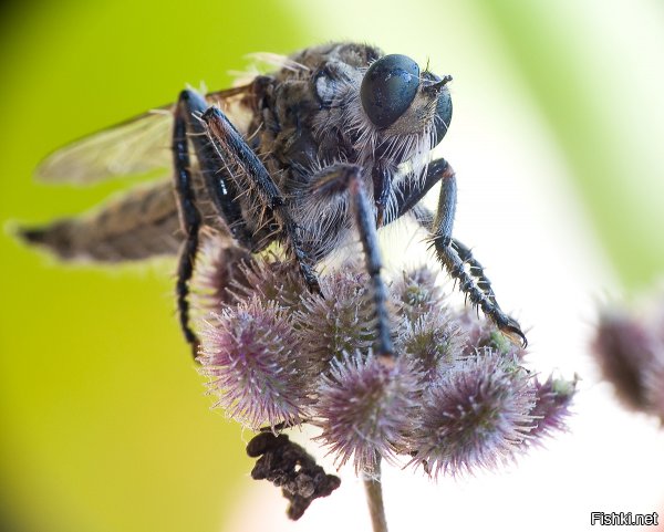 Добавлю своих фотографий: