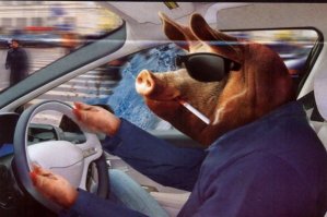 Люди не будьте свиньями