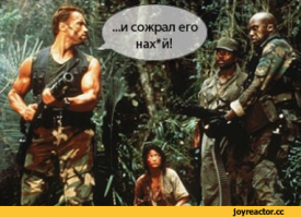 Как мой сосед из Омска ежа в хозяйстве использовал