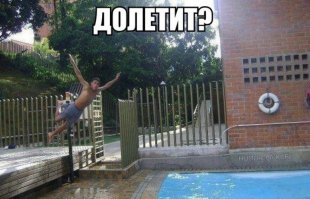 Лови момент: 11 фотографий, сделанных точно вовремя