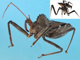 Чем то похожи)))