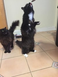 "Что б ты подавился"