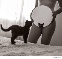 24 сумасшедшие фотографии, на которых люди стали жертвами отражений 