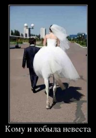 И на хромой козе подъедешь: на чем только молодожены не приезжают в ЗАГС!