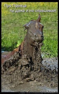 Красная шапочка