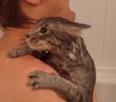 Ну и садистское выражение на морде у кошака. Он прям наслаждение получает, от того, что хозяину сейчас спину на британский флаг раскроит)))