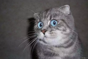 Офигеть!!Оказывается я живу в Чили....