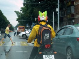 Девушки + Байки