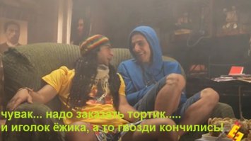 Как мой сосед из Омска ежа в хозяйстве использовал