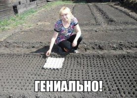 Картинки с надписями