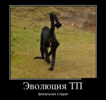 Просто разорвало!