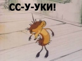 Как мой сосед из Омска ежа в хозяйстве использовал