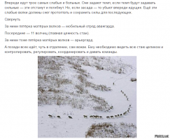 лично.Рататоску)