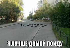 Картинки с надписями