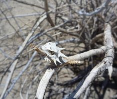 Подборка ужасно красивых фотографий