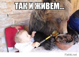Мишки и люди