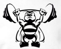 Настойчивая пчела вытащила гвоздь из стены