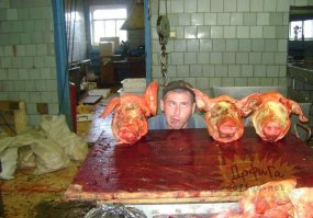 Подборка идиотских фотографий