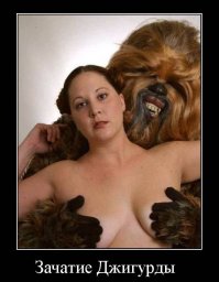 Актеры саги "Звездные войны" - тогда и сейчас