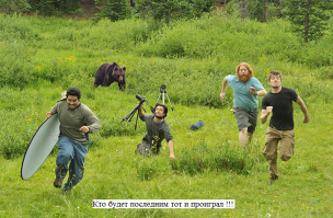 Мишки и люди