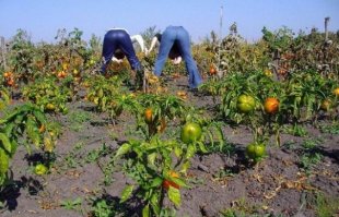 тогда сударь,Вам сюда!)))