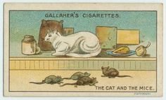 Что ещё за реклама на каждой картинке: Gallaher's Cigarettes (Сигареты Галлахера)В нете нашёл. Это же реклама табака. Это есть, не хорошо. А ещё нашёл: как избавиться от мышей, когда кошке всё по**й.