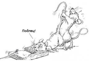 27 фотографий, после просмотра которых вы будете пользоваться исключительно общественным транспортом