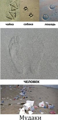 Картинки с надписями
